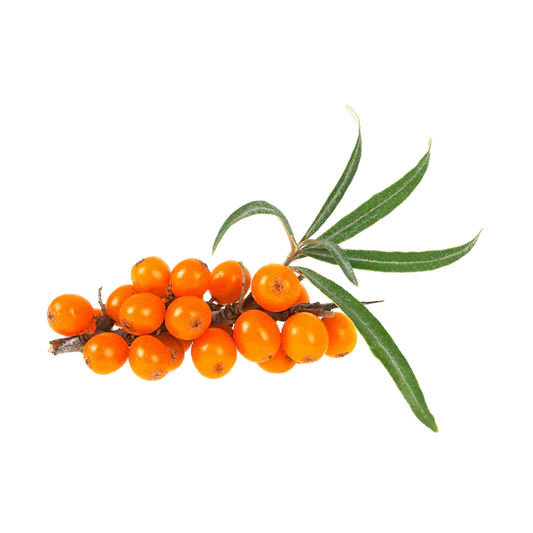 10 Sea Buckthorn Oil Skin Benefits